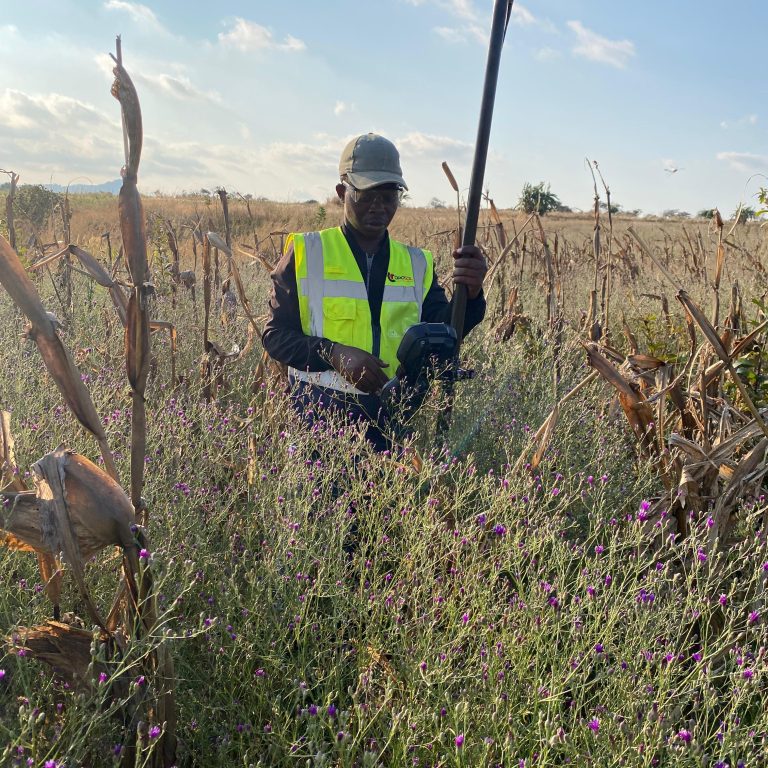 Toposol Campo Cuanza Sul (25)