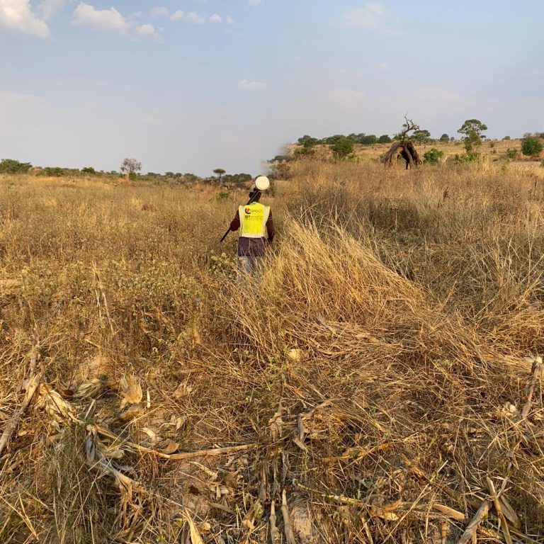 Toposol campo Huíla (33)