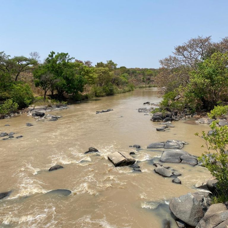 Toposol campo Huíla (38)